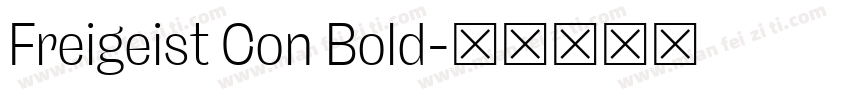 Freigeist Con Bold字体转换